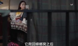 大山里的孩子爆料视频,揭开乡村教育现状的神秘面纱